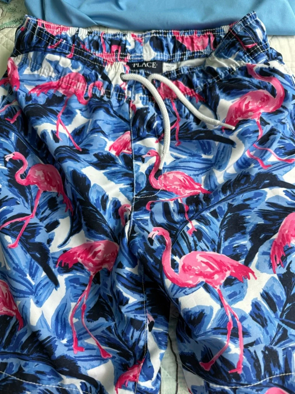 Kids large Blue Rash Guars and large Children’s Place Flamingo Print Swim Trunks